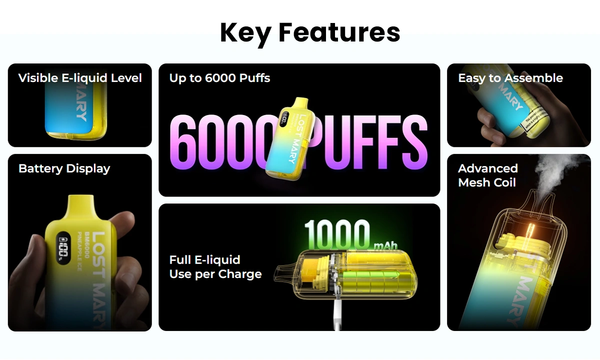Key Features of the Lost Mary BM6000 Prefilled Pod Kit